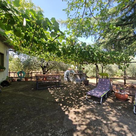 La Casa Di Giulia Βίλα Bronte Εξωτερικό φωτογραφία