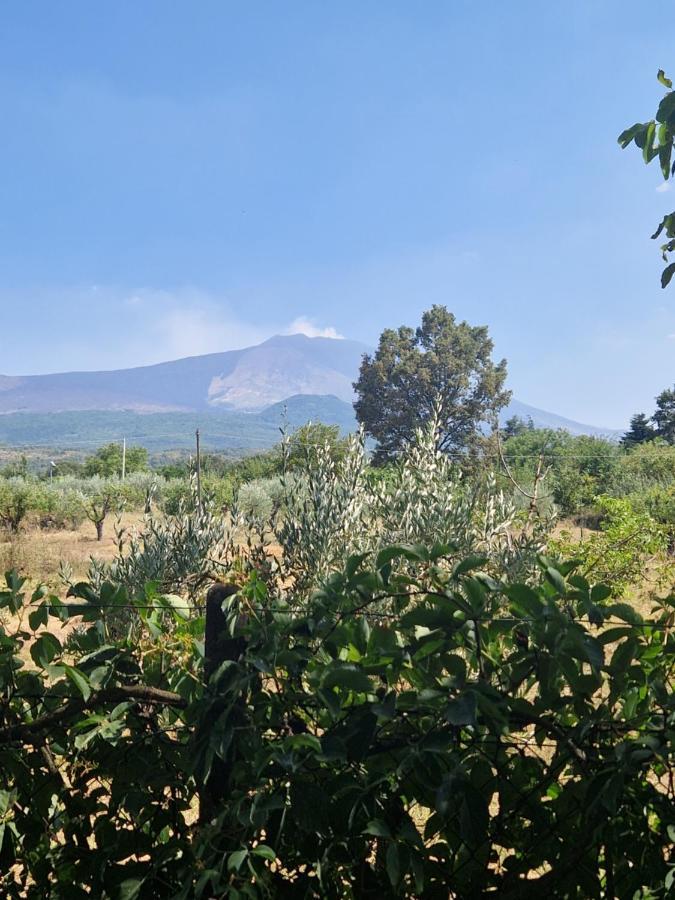 La Casa Di Giulia Βίλα Bronte Εξωτερικό φωτογραφία