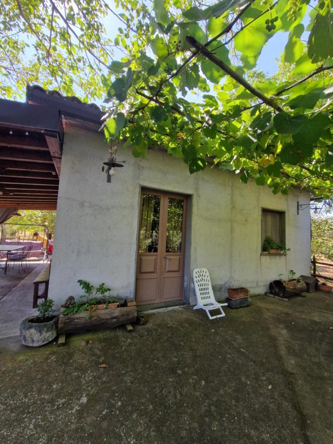 La Casa Di Giulia Βίλα Bronte Εξωτερικό φωτογραφία