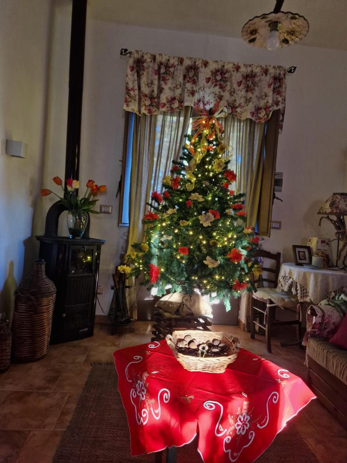 La Casa Di Giulia Βίλα Bronte Εξωτερικό φωτογραφία
